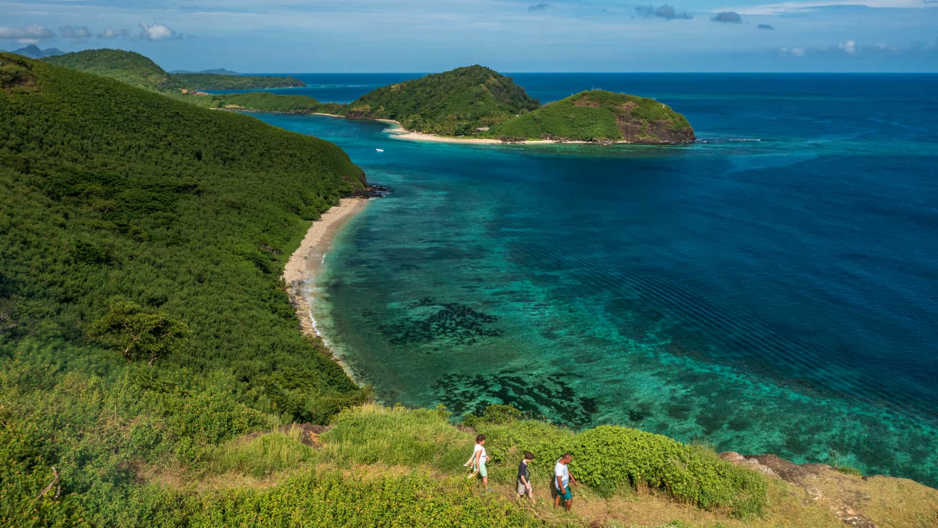 Fiji Background 1